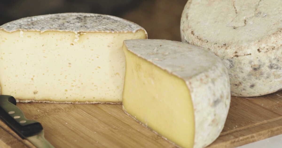 L’Acajou : un fromage d'exception au lait de Salers