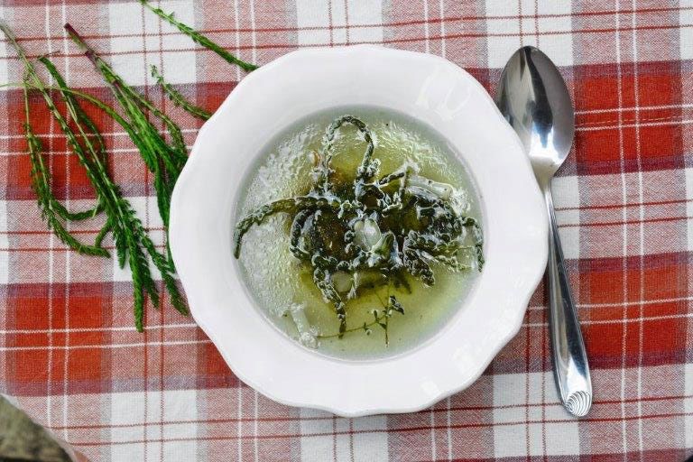 Les trésors cachés de la nature dans nos assiettes