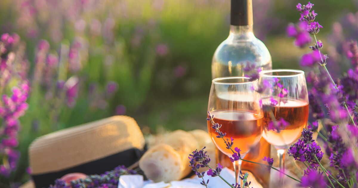 Les vins rosés à savourer pendant vos vacances