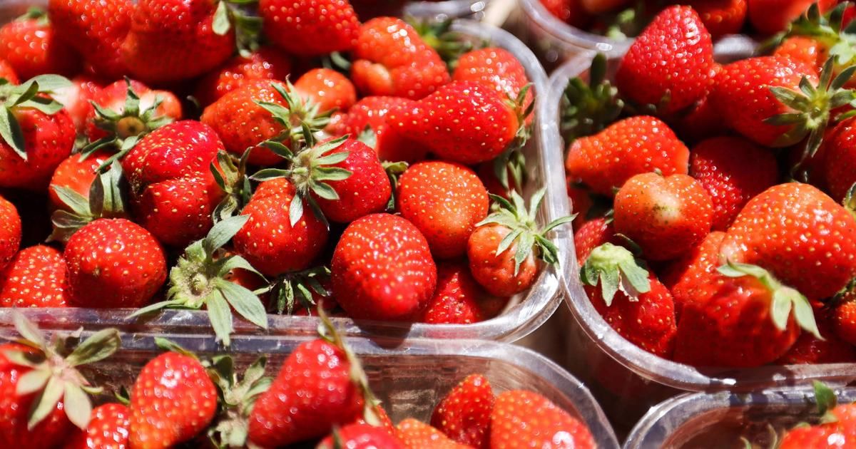 Pourquoi il ne faut pas conserver ses fraises au réfrigérateur