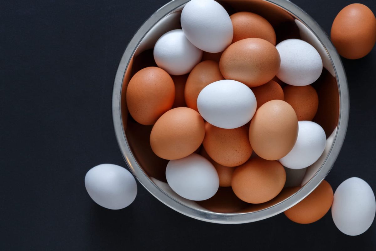 Déchiffrer le code des oeufs : ce que révèle chaque numéro sur la coquille