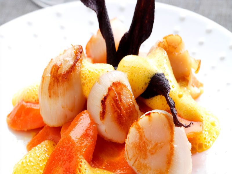 Les bienfaits insoupçonnés de la carotte dans votre assiette