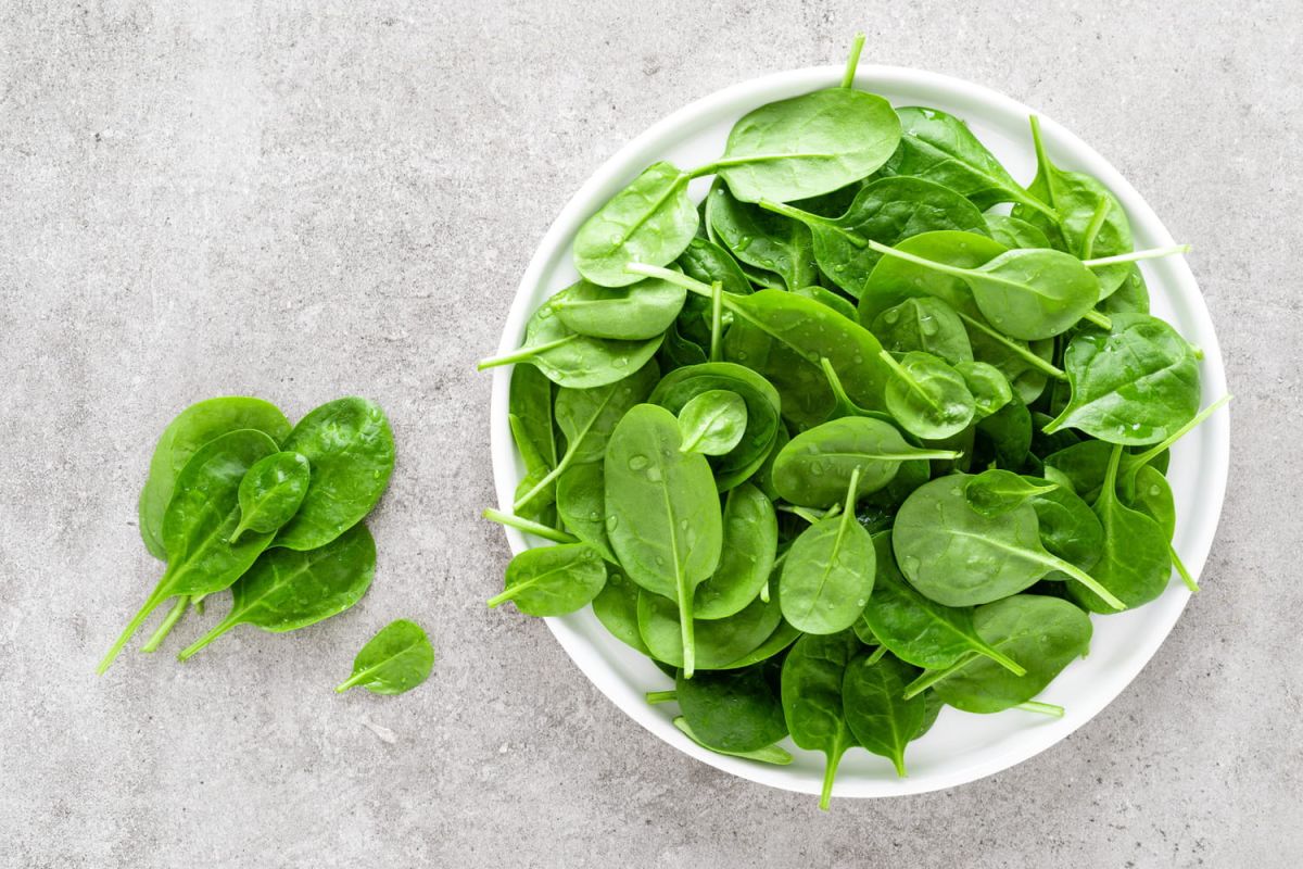 Maîtriser la cuisson des épinards frais pour des plats savoureux