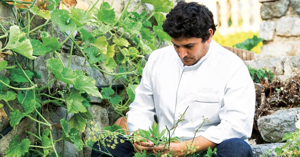 Les chefs et leurs jardins : une renaissance culinaire