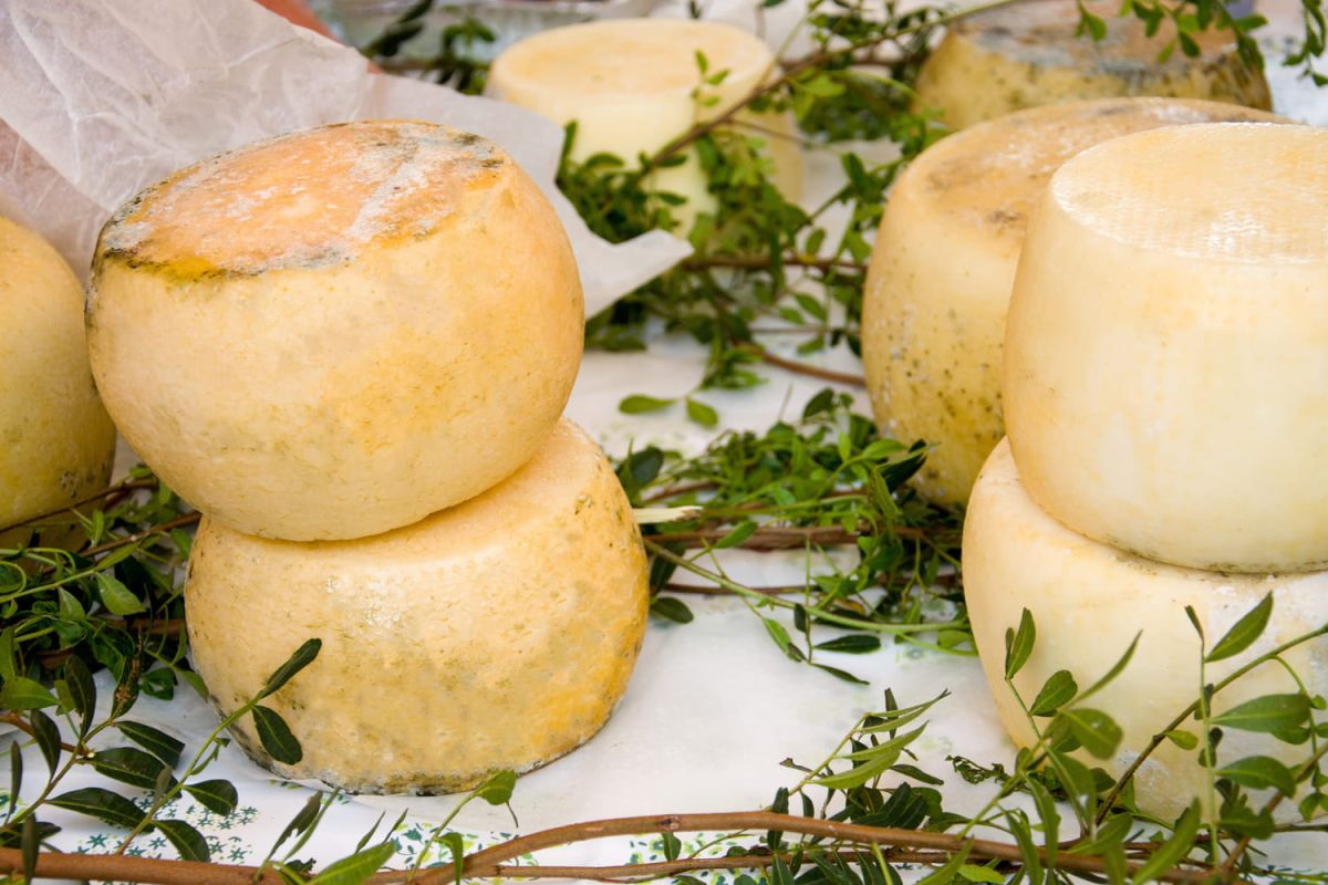 Des astuces infaillibles pour conserver votre fromage frais