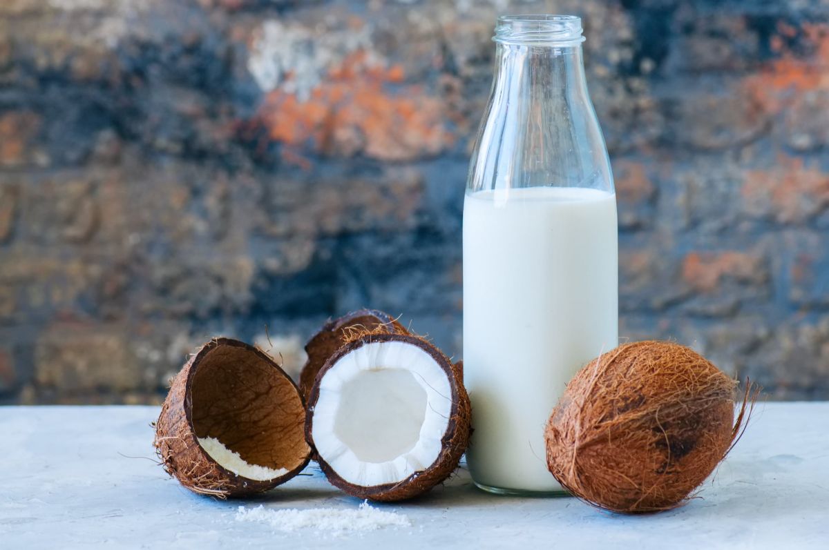 Dégustez le lait de coco à travers 6 recettes savoureuses