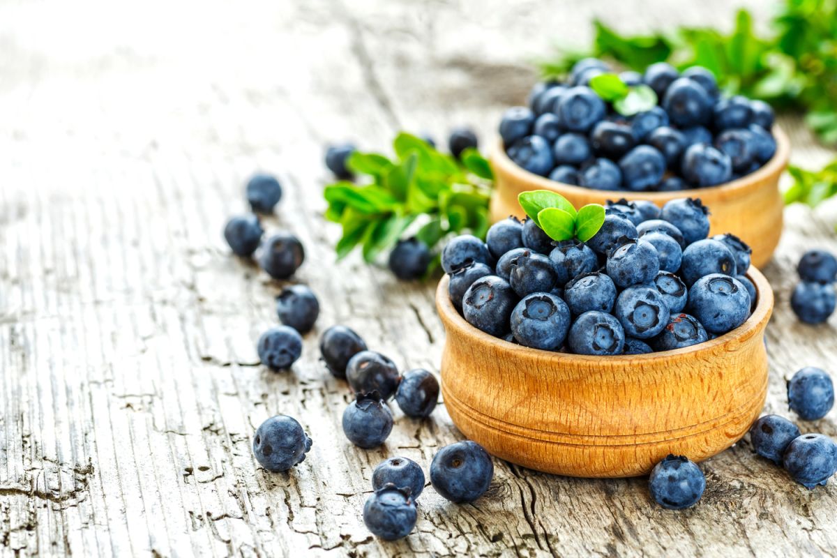 Des recettes délicieuses pour savourer les myrtilles