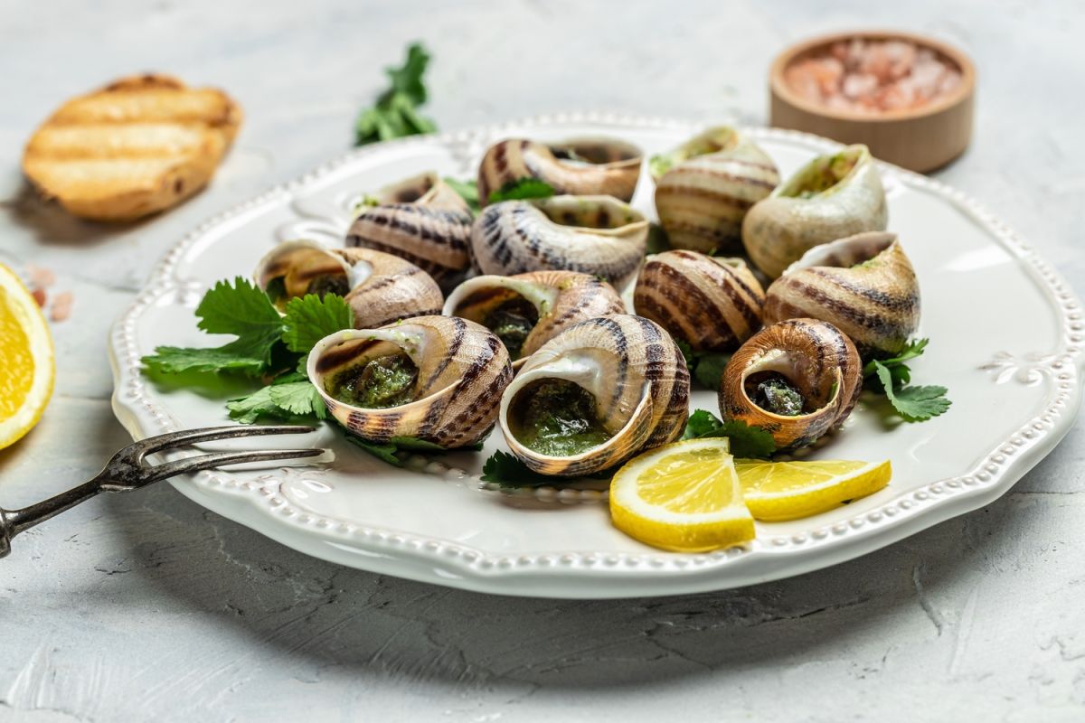 Attention aux escargots en boîte : un danger pour les fêtes