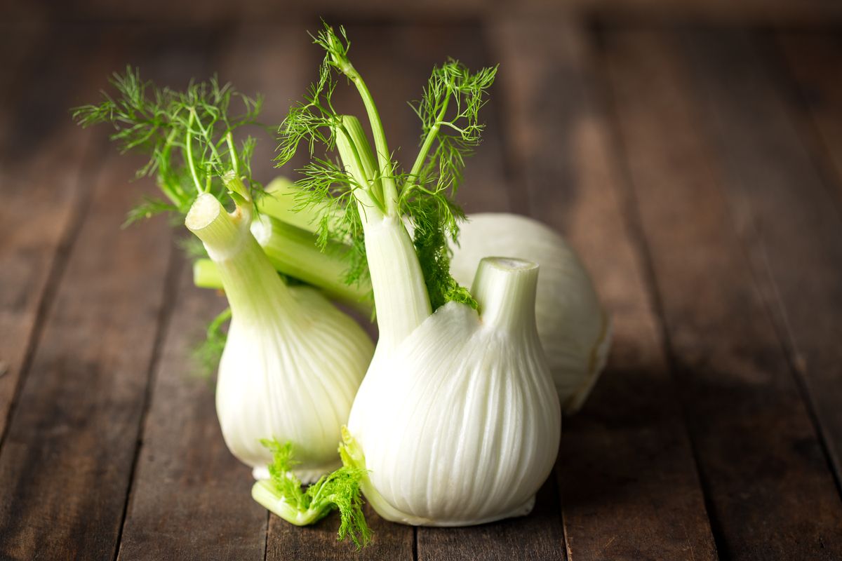 6 recettes savoureuses à base de fenouil pour l'été