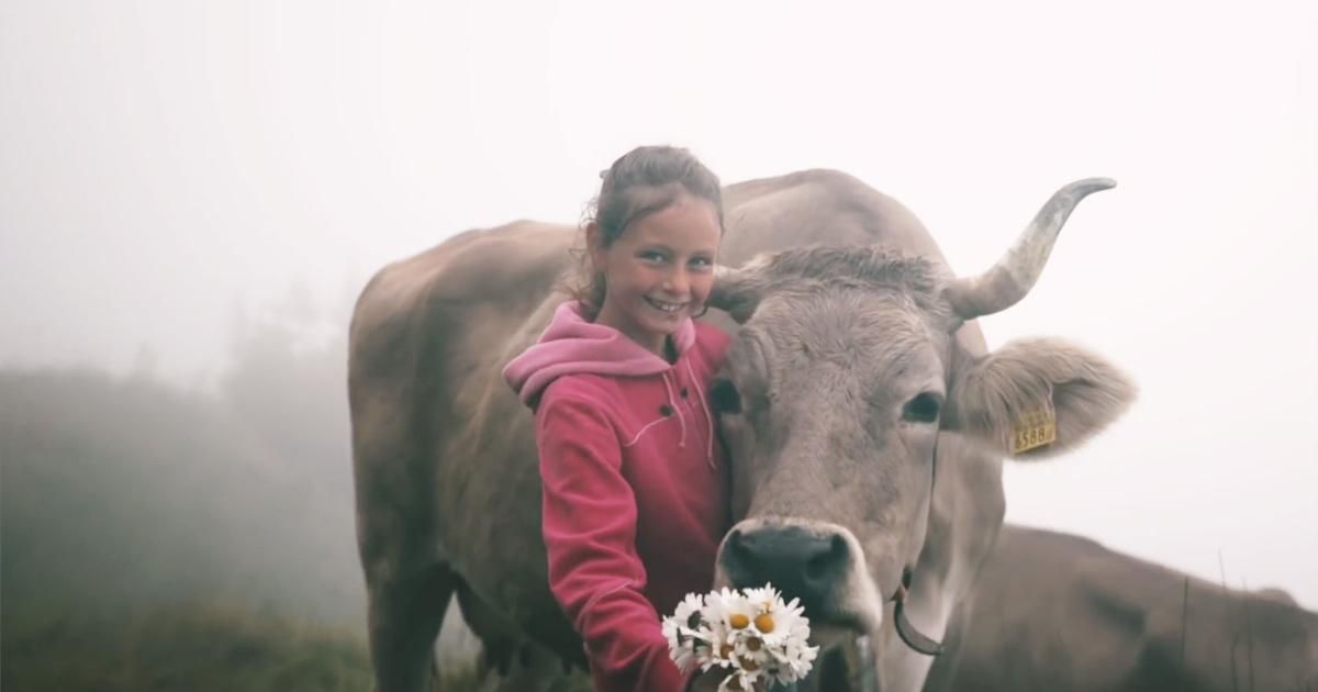 Suisse : l'harmonie entre nature et fromages d'exception