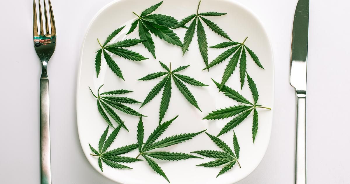 Le phénomène du CBD en cuisine : entre curiosité et innovation gustative