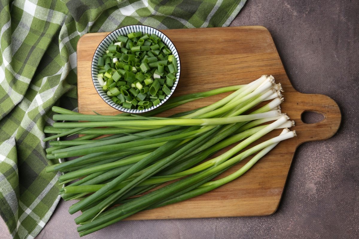 Les secrets de l'oignon vert : saveurs et bienfaits dévoilés