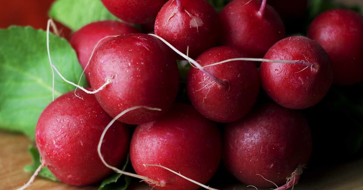 Des idées savoureuses pour utiliser les fanes de radis sans gaspillage